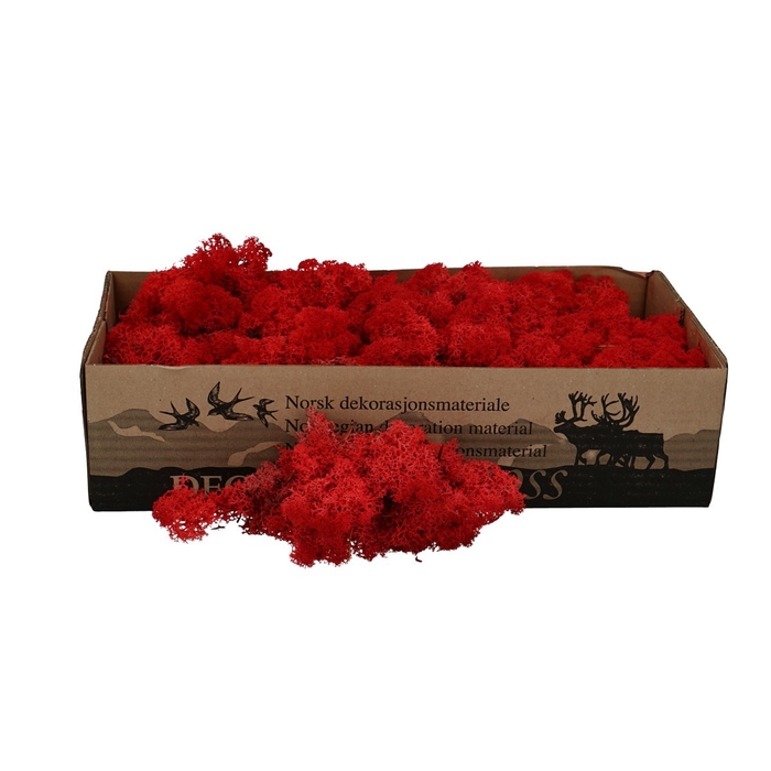 <h4>Dried articles Reindeermoss 400-500g</h4>