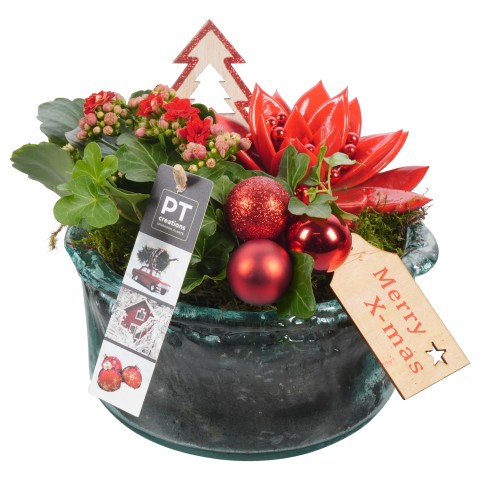 <h4>PTCHR4202 Arrangementen Kerst</h4>
