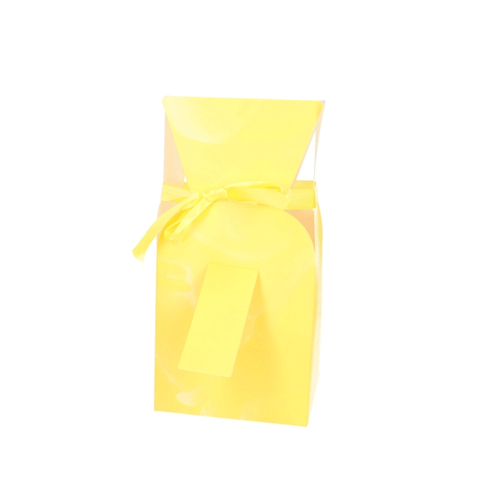 <h4>Boekethouder Boeketvaas Cloudy 13*26cm</h4>