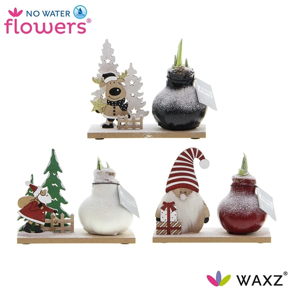 <h4>No Water Flowers ® Winter Wonderland Mix</h4>