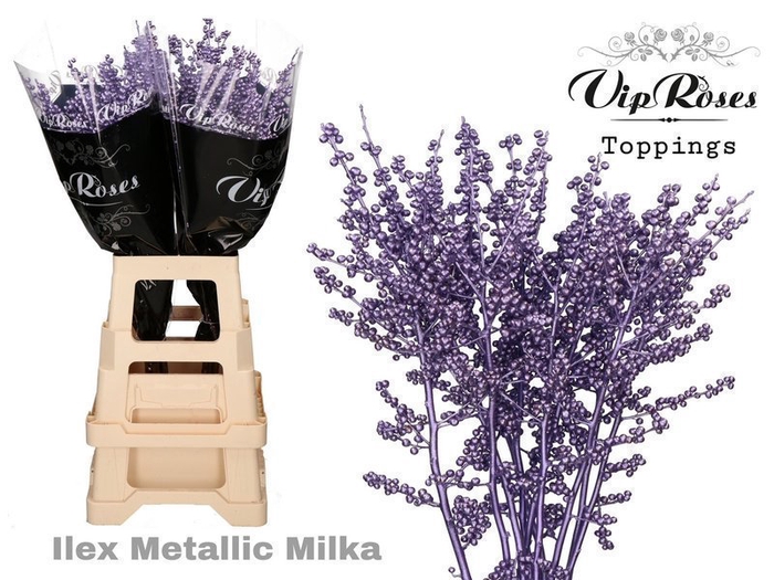 <h4>Ilex paint milka metallic</h4>