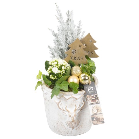 <h4>PTCHG5158 Arrangementen Kerst</h4>
