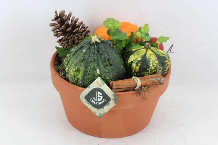 <h4>arr4 Sierfruit JS - Terra pot x3</h4>