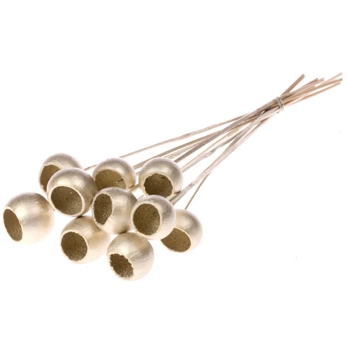 <h4>Bell cup o/s sb ch gold</h4>