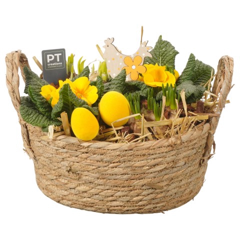 <h4>PTBMP2111 Arrangementen Tuinplanten</h4>