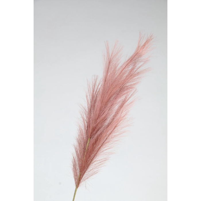 <h4>Af Pampas 100cm Burgundy</h4>