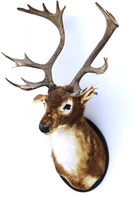<h4>Deer Head 138cm Brown/red</h4>