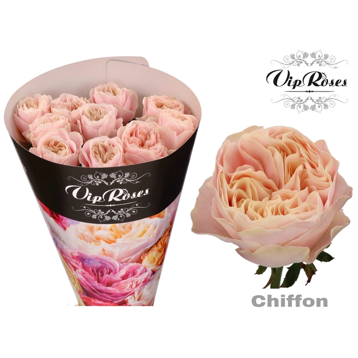 Vip Roses Webshop
