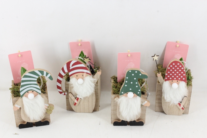 <h4>arr4 Hyacint FL1912 - Shine like santa x15</h4>