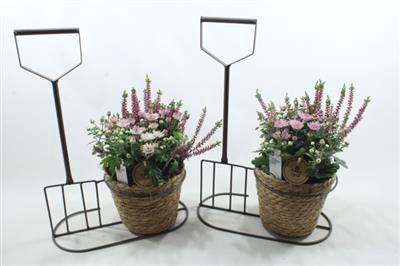 <h4>0071 MAND ZEEGRAS + HOOIVORK</h4>