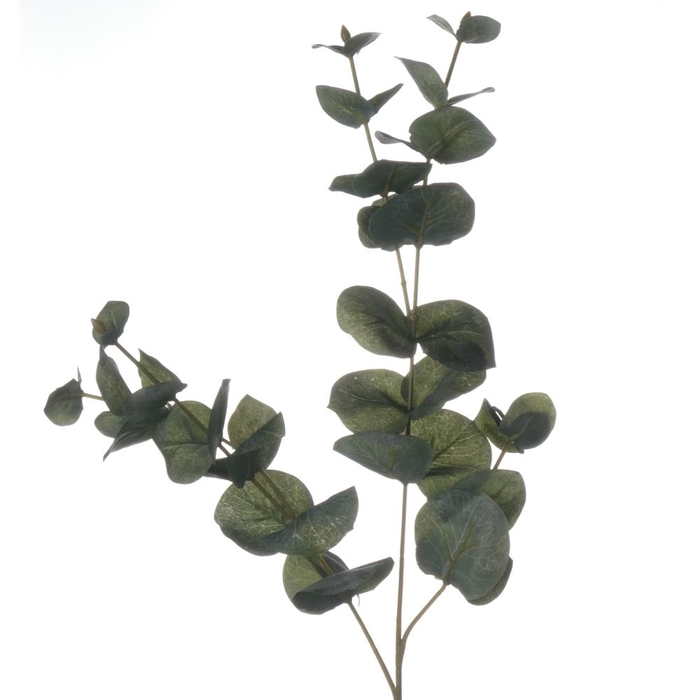 <h4>Af Eucalyptus L75cm Groen</h4>