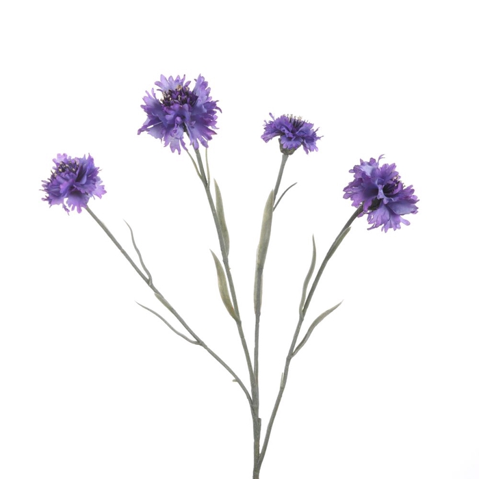 <h4>Af Centaurea X4 L59cm Lilac</h4>
