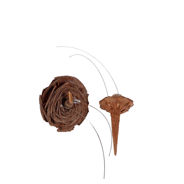 <h4>Cederbasis naturel op 10cm draad - 40 stuks</h4>
