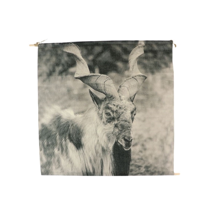 <h4>Homedeco Wandhanger geit 48*48cm</h4>