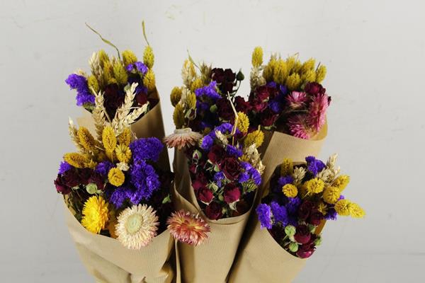 <h4>Df bouquet 50cm dutch multi</h4>