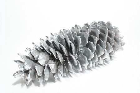 <h4>Wax Sugar Pine Zilver</h4>