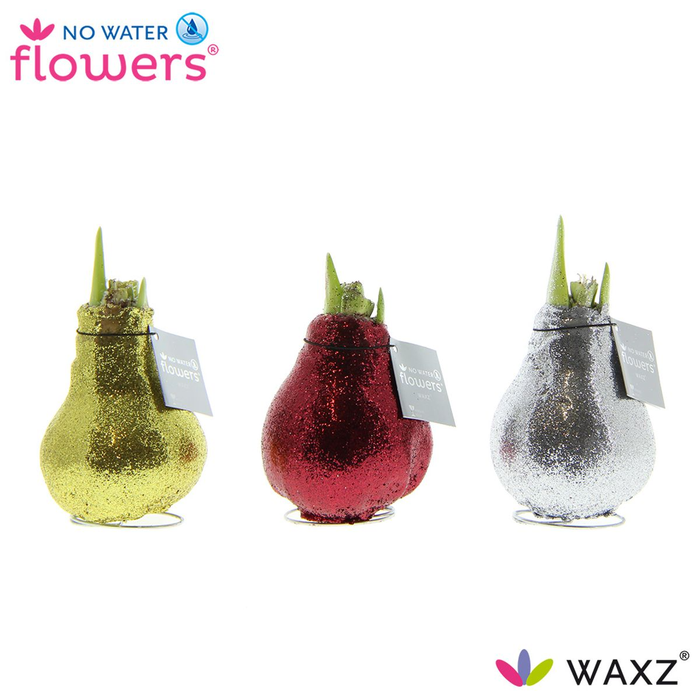 <h4>arr4 Amaryllis VH - GO/RO/ZI glitter</h4>