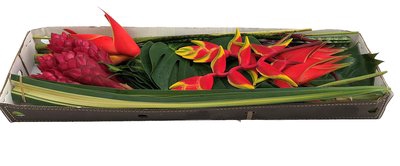 <h4>Bouquet exotic mini fiesta combo box</h4>
