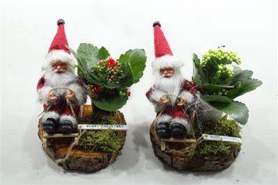 <h4>8496 KERSTMAN PLATEAU</h4>