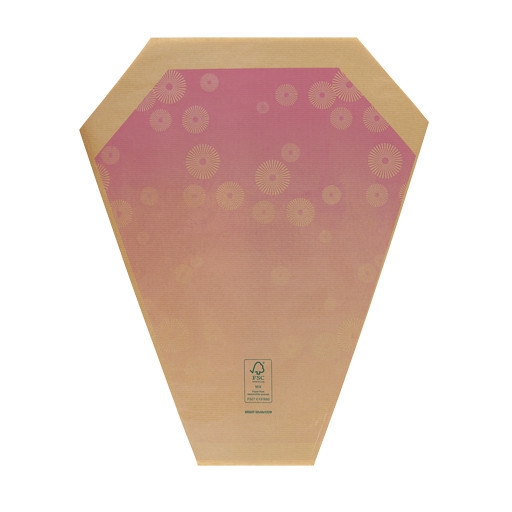 <h4>Hoezen Kraft Bright 50*44*12cm x50</h4>