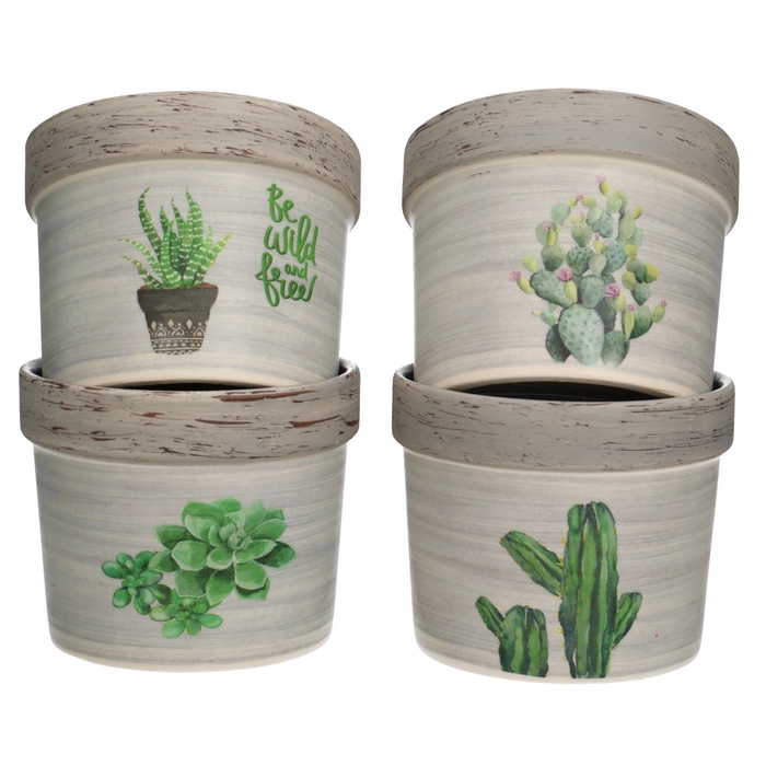 <h4>Keramiek Cactus Pot D10*8.5cm Ass.</h4>