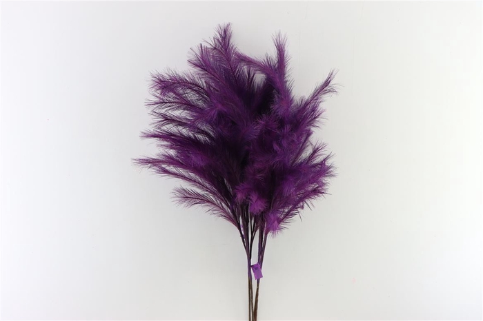 <h4>Deco Stem Panicle Grass 100cm Purple</h4>
