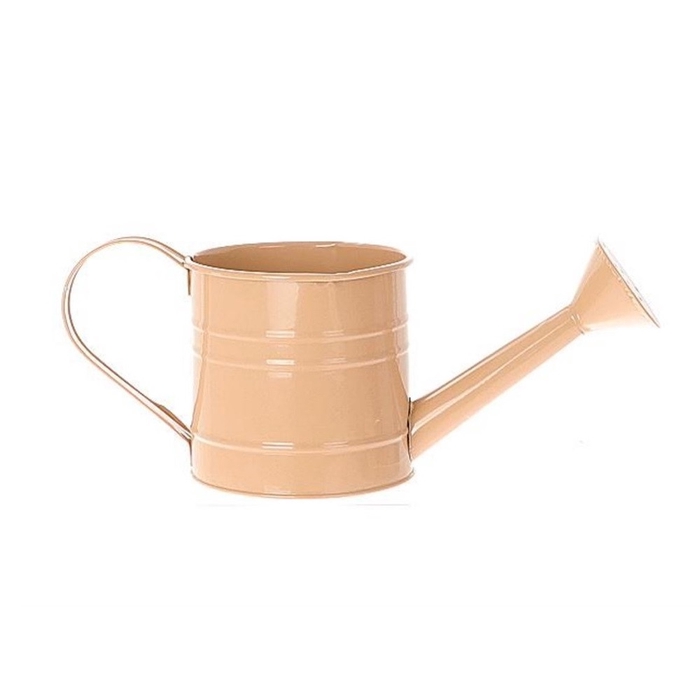 <h4>Zink Fleura Gieter D10.5*10.5cm</h4>