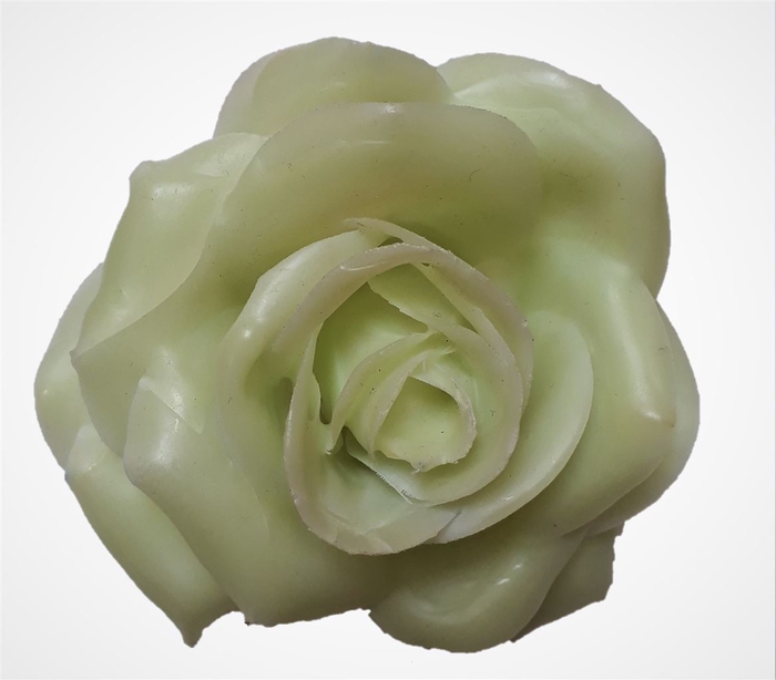 <h4>Wax Rose D10 Mint Groen</h4>