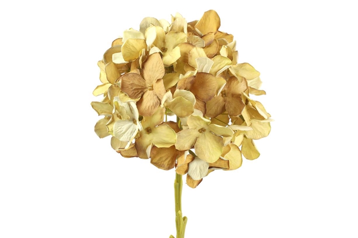 <h4>Af Hortensia L47cm Beige</h4>