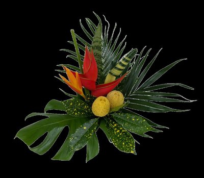 <h4>Bouquet exotic parrot regular</h4>