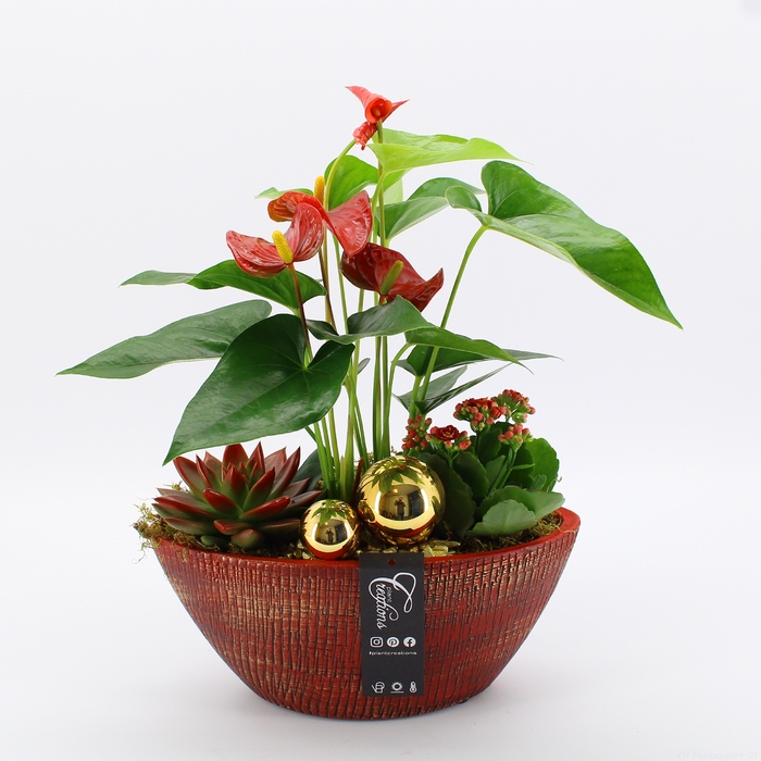 <h4>XMAS-23037 Kerst creatie</h4>