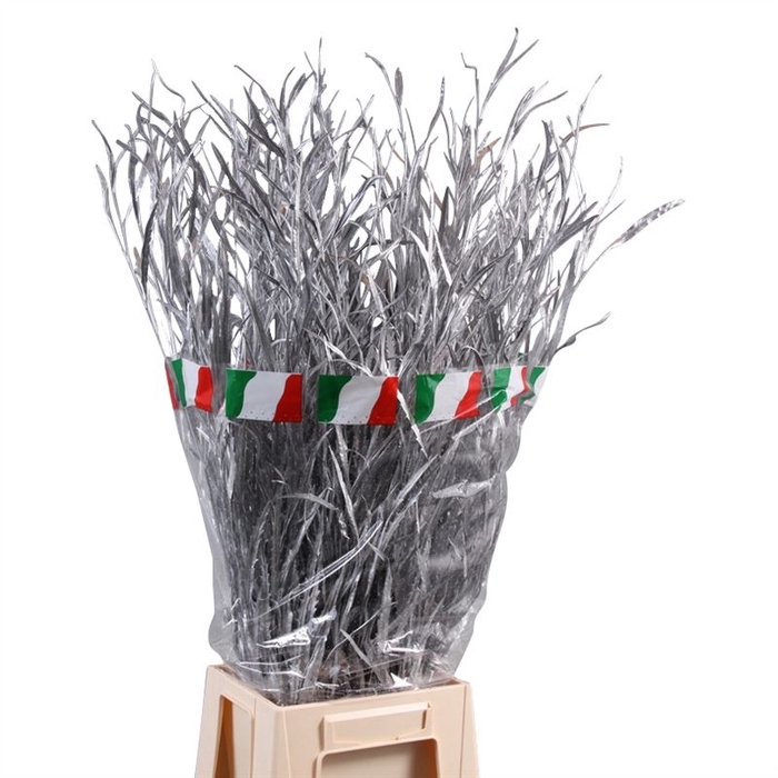 <h4>Grevillea Geverfd</h4>