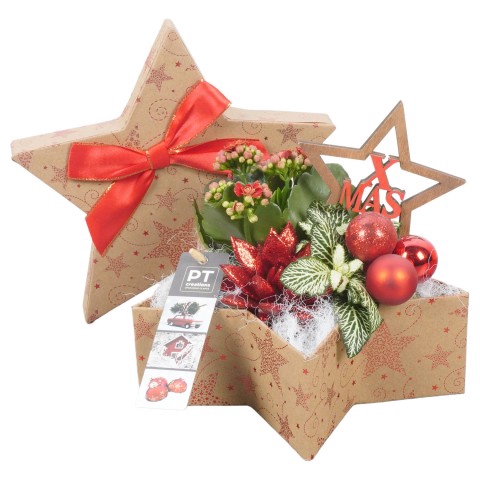 <h4>PTCHR4283 Arrangementen Kerst</h4>