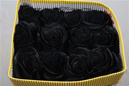 <h4>R Gr Black Ec</h4>