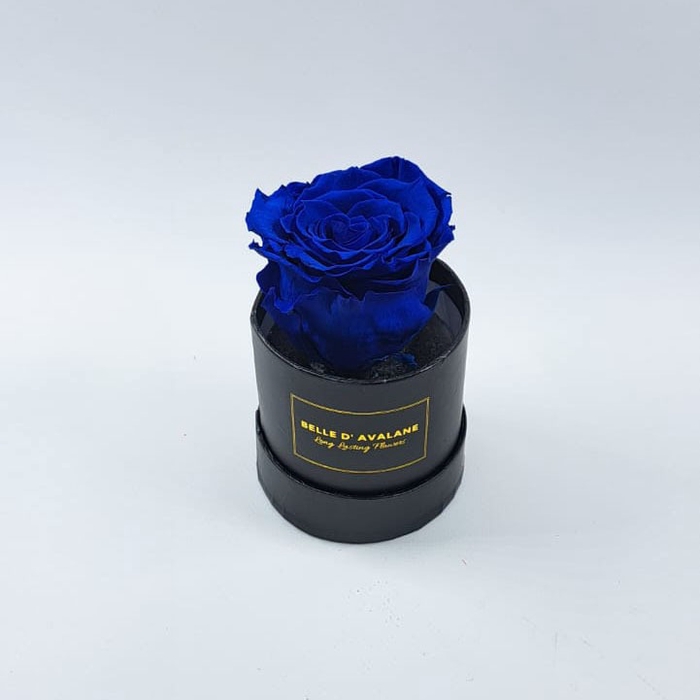 Box rd 8cm zwart-blauw