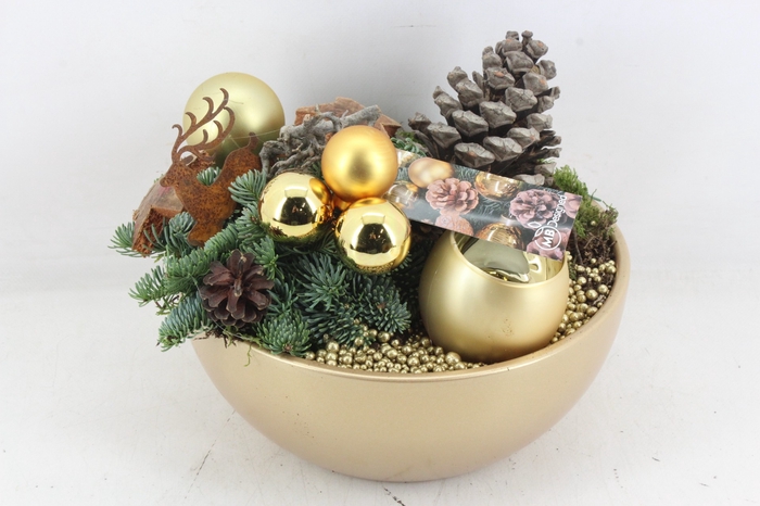 <h4>arr5 Kerst MB415 - Ker. bowl gold XL 2</h4>