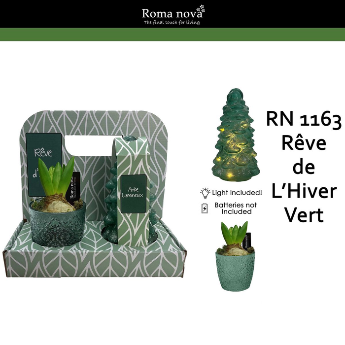 <h4>arr4 Hyacint RN1163 - Box Rêve d’hiver Vert</h4>