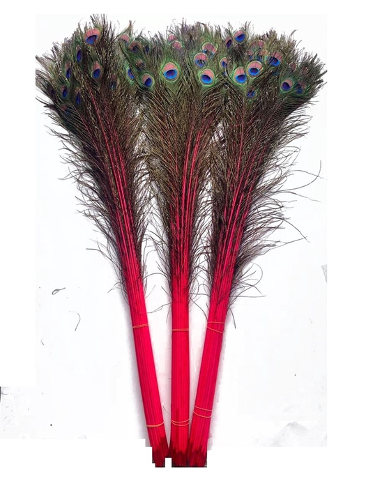 <h4>Deco Stem Feather Peacock Natural/cerise</h4>