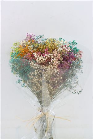 <h4>Pres Gypsophila Panic Rainbow Bouquet</h4>
