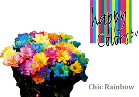 <h4>Chr T Chic Rainbow</h4>