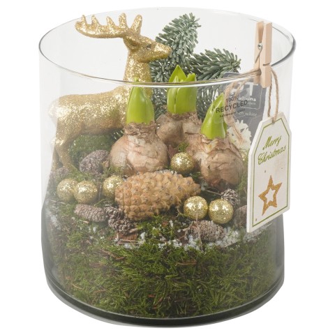 <h4>PTHCC8700 Arrangementen Kerst</h4>