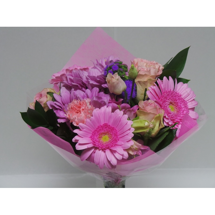 <h4>Bouquet Shorties Pink</h4>