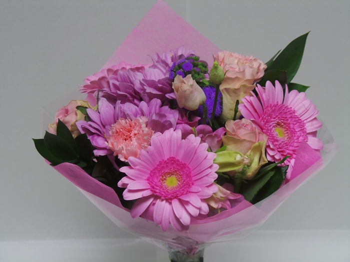 Bouquet Shorties Pink