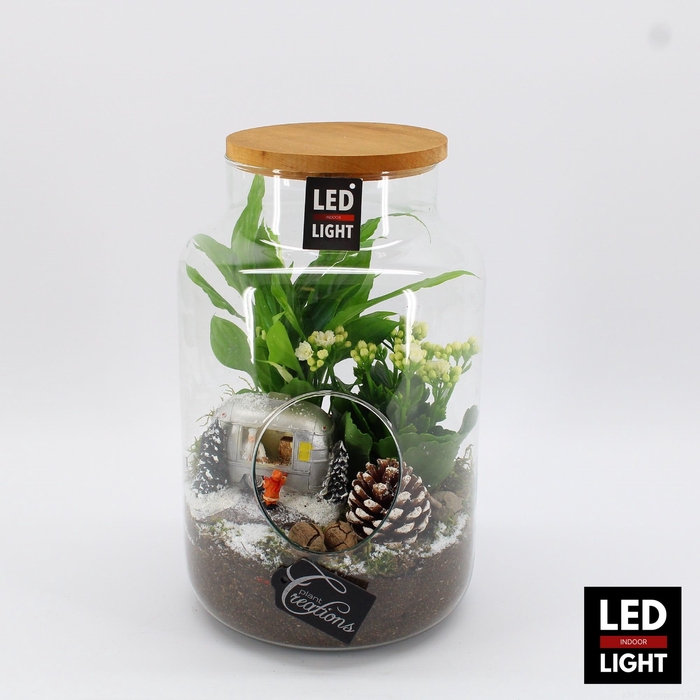 <h4>XMAS-23048LED Kerst creatie terrarium</h4>