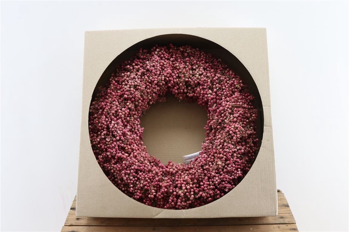 <h4>Wr Schinus Pepperberrie 40cm X9</h4>