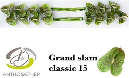 <h4>Anth A Grand Slam Classic 15</h4>
