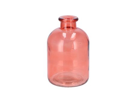 <h4>Dry Glass Coral Bottle 11x17cm</h4>