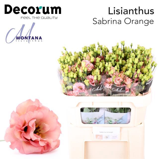 les-fleurs-de-deborah