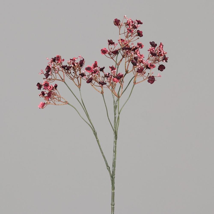 <h4>Af Gypsophila Rood</h4>