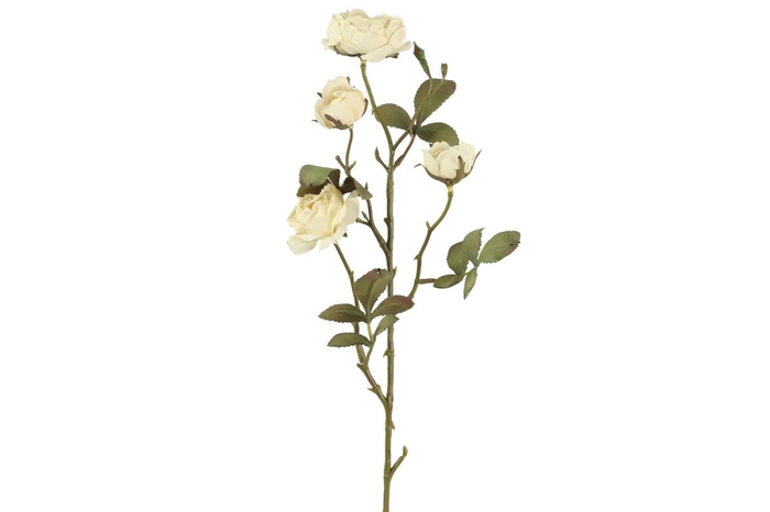 <h4>Af Trosroos Droog L58cm Creme</h4>